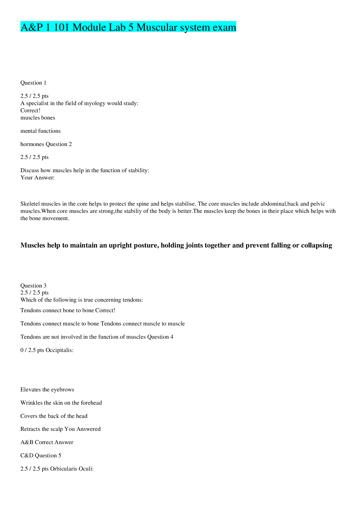 Preview image for A&P 1 101 Module Lab 5 Exam 5 Muscular system